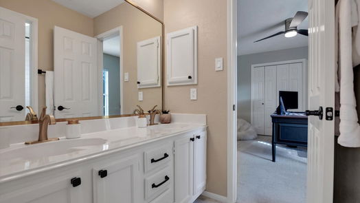 Houston 2-story, 5-bed 3807 Ridge Manor Court-idx