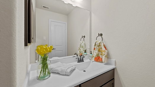 Humble 2-story, 4-bed 17714 Booners Cove Court-idx