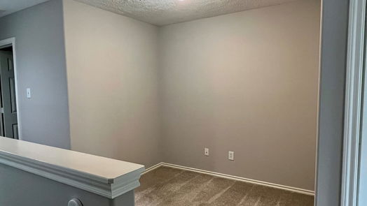 Humble 2-story, 3-bed 17619 Olympic Park Lane-idx