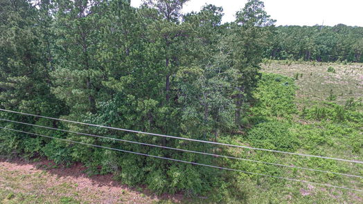 Livingston null-story, null-bed TBD US HWY 190 W US Hwy 190-idx