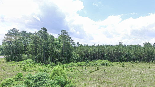 Livingston null-story, null-bed TBD US HWY 190 W US Hwy 190-idx