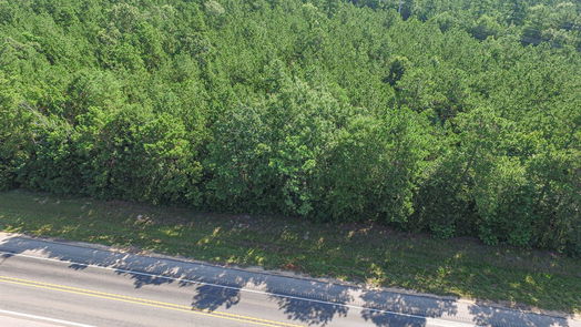 Livingston null-story, null-bed TBD Hwy 190 W W TBD US Hwy 190 tr 4-idx