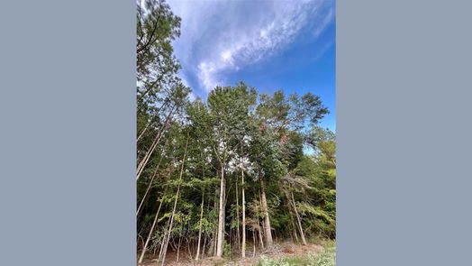 Livingston null-story, null-bed Lot 6 Stonebrook Drive-idx