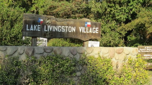 Livingston null-story, null-bed Lot 826 Greenridge-idx