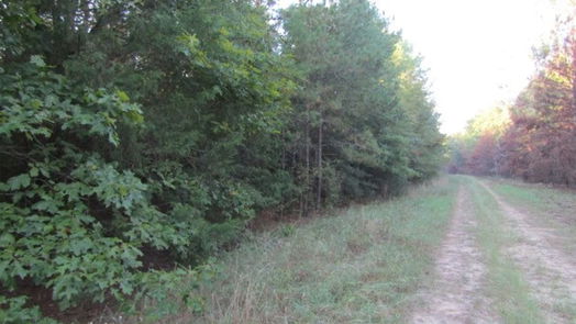 Livingston null-story, null-bed Lot 826 Greenridge-idx