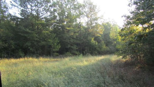 Livingston null-story, null-bed Lot 826 Greenridge-idx