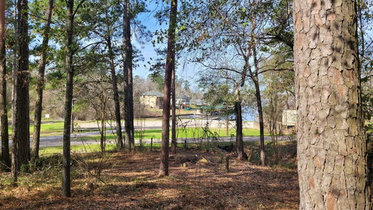 Livingston null-story, null-bed 506 Knotty Oak-idx