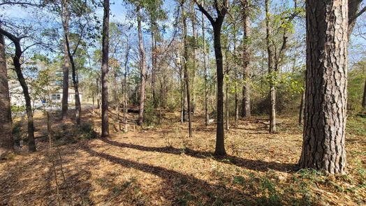 Livingston null-story, null-bed 506 Knotty Oak-idx