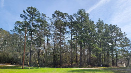 Livingston null-story, null-bed 506 Knotty Oak-idx