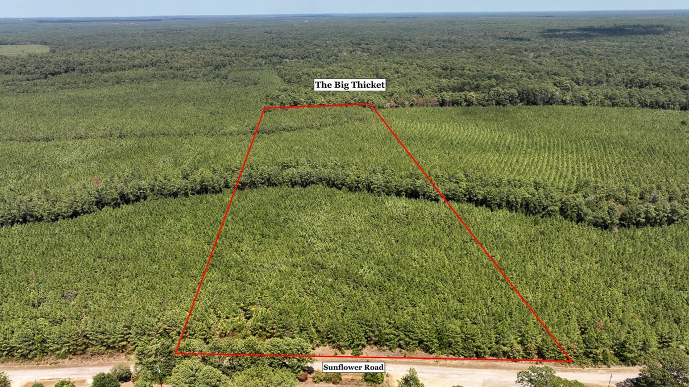 Livingston null-story, null-bed 00 Sunflower Road-idx