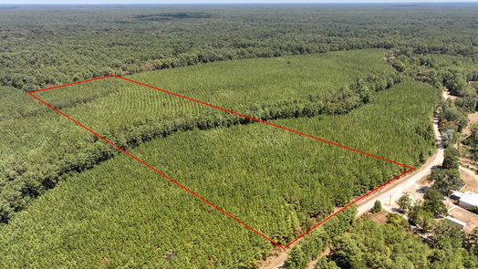 Livingston null-story, null-bed 00 Sunflower Road-idx