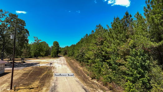 Livingston null-story, null-bed 00 Sunflower Road-idx