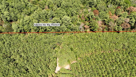 Livingston null-story, null-bed 00 Sunflower Road-idx