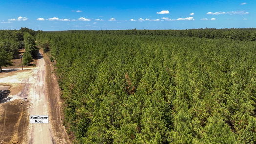 Livingston null-story, null-bed 00 Sunflower Road-idx