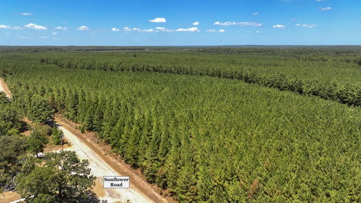 Livingston null-story, null-bed 00 Sunflower Road-idx