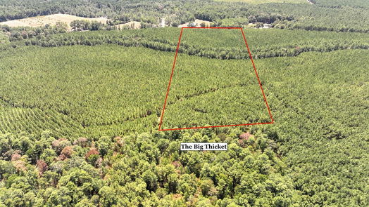 Livingston null-story, null-bed 00 Sunflower Road-idx