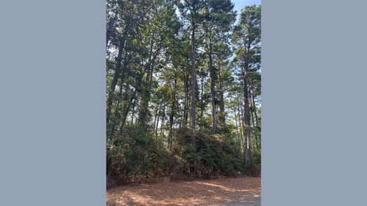 Livingston null-story, null-bed 1920 Caldwell Street-idx