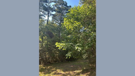 Livingston null-story, null-bed 1327 Joanna Hill-idx