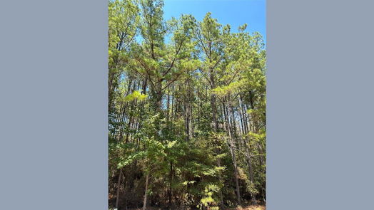 Livingston null-story, null-bed Lots 76, 77, 78 Westridge Park-idx