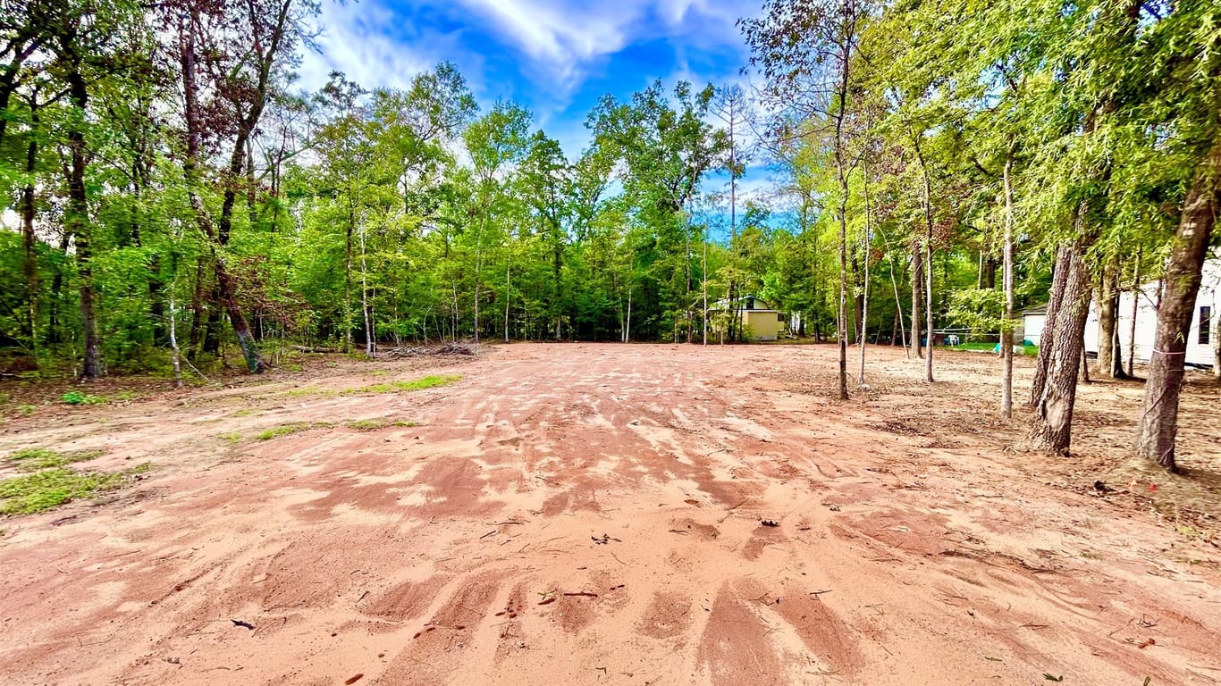 Livingston null-story, null-bed 339 Meridian-idx