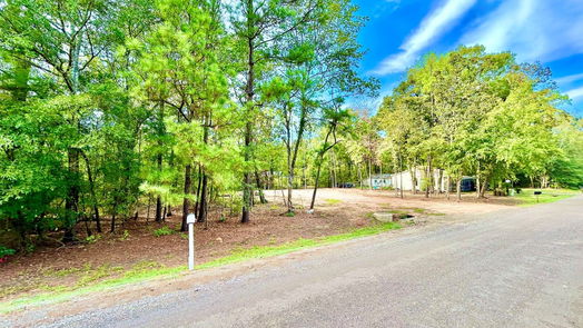 Livingston null-story, null-bed 339 Meridian-idx