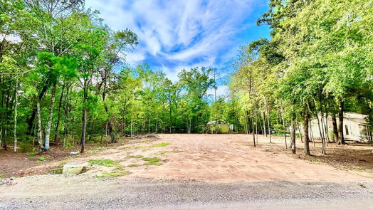 Livingston null-story, null-bed 339 Meridian-idx