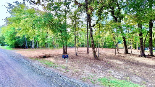 Livingston null-story, null-bed 339 Meridian-idx