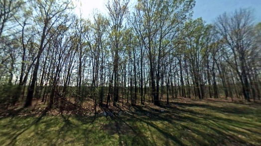 Livingston null-story, null-bed 302 Terrell Road-idx