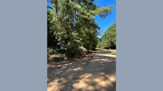 Livingston null-story, null-bed TBD Andrew Jackson Drive-idx