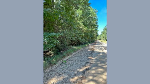 Livingston null-story, null-bed TBD Andrew Jackson Drive-idx