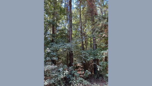 Livingston null-story, null-bed TBD Andrew Jackson Drive-idx