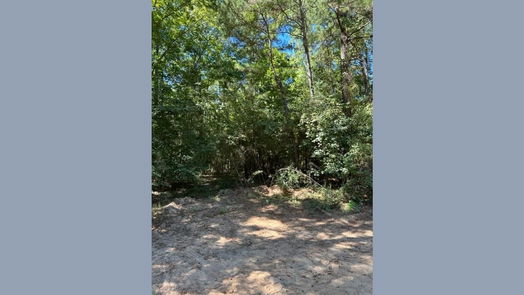 Livingston null-story, null-bed TBD Andrew Jackson Drive-idx