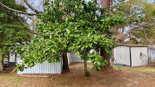 Livingston 1-story, 2-bed 112 Honeysuckle Dr-idx