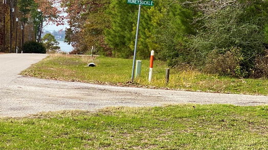 Livingston 1-story, 2-bed 112 Honeysuckle Dr-idx