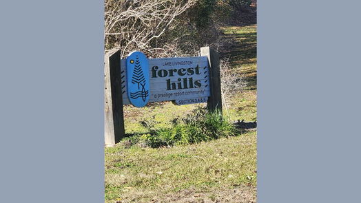 Livingston null-story, null-bed Lots 428 & 429 Echo Hills Lane-idx