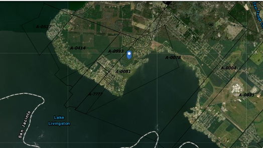 Livingston null-story, null-bed Lots 605 and 606 Wood Forest-idx