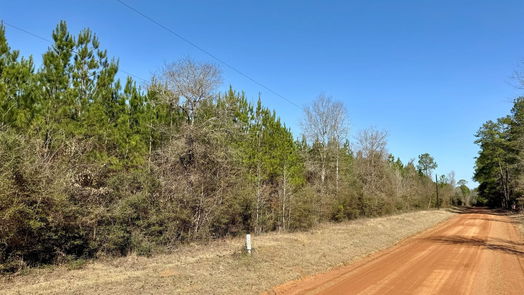 Livingston null-story, null-bed TBD 15 AC Menard Chapel Road-idx