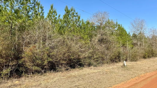 Livingston null-story, null-bed TBD 15 AC Menard Chapel Road-idx