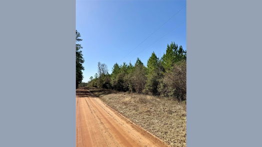 Livingston null-story, null-bed TBD 15 AC Menard Chapel Road-idx
