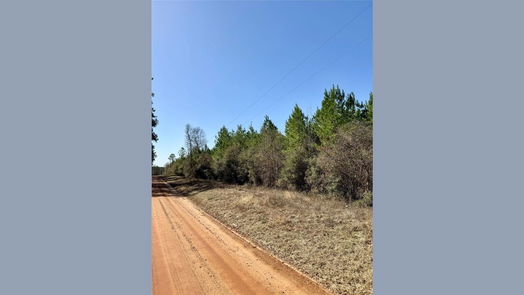 Livingston null-story, null-bed TBD 15 AC Menard Chapel Road-idx