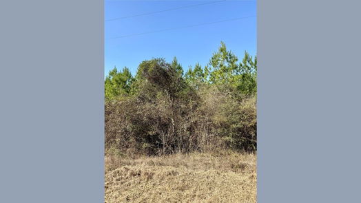 Livingston null-story, null-bed TBD 15 AC Menard Chapel Road-idx