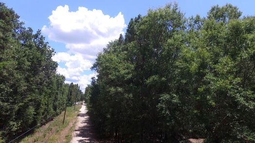 Livingston null-story, null-bed 0 Linkwood Drive-idx