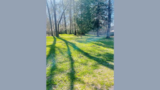Livingston null-story, null-bed 00 Shady Lane-idx