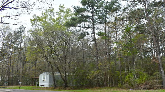 Livingston 1-story, 3-bed 1090 Meridian-idx
