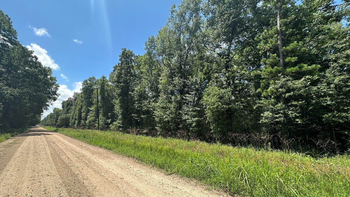 Livingston null-story, null-bed TBD Star Dust Drive-idx