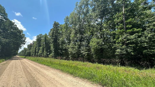 Livingston null-story, null-bed TBD Star Dust Drive-idx