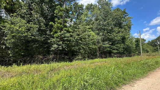 Livingston null-story, null-bed TBD Star Dust Drive-idx