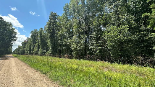 Livingston null-story, null-bed TBD Star Dust Drive-idx