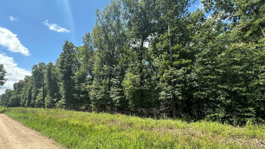 Livingston null-story, null-bed TBD Star Dust Drive-idx