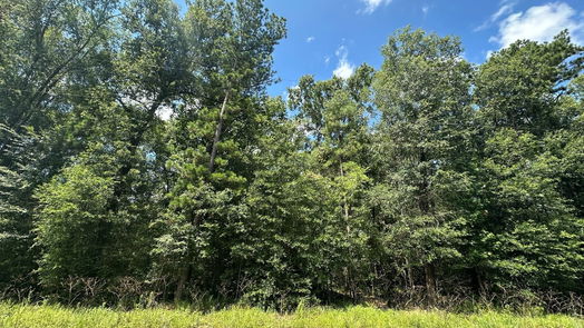 Livingston null-story, null-bed TBD Star Dust Drive-idx